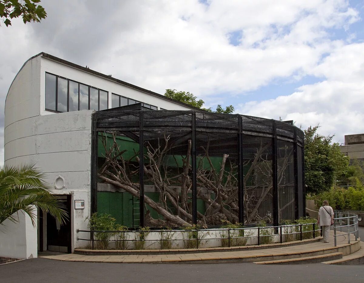 Здания зоопарка. Лондонский зоопарк (london zoo). дом рептилий лондонского зоопарка. зоопарк здание. зоопарк в доме.