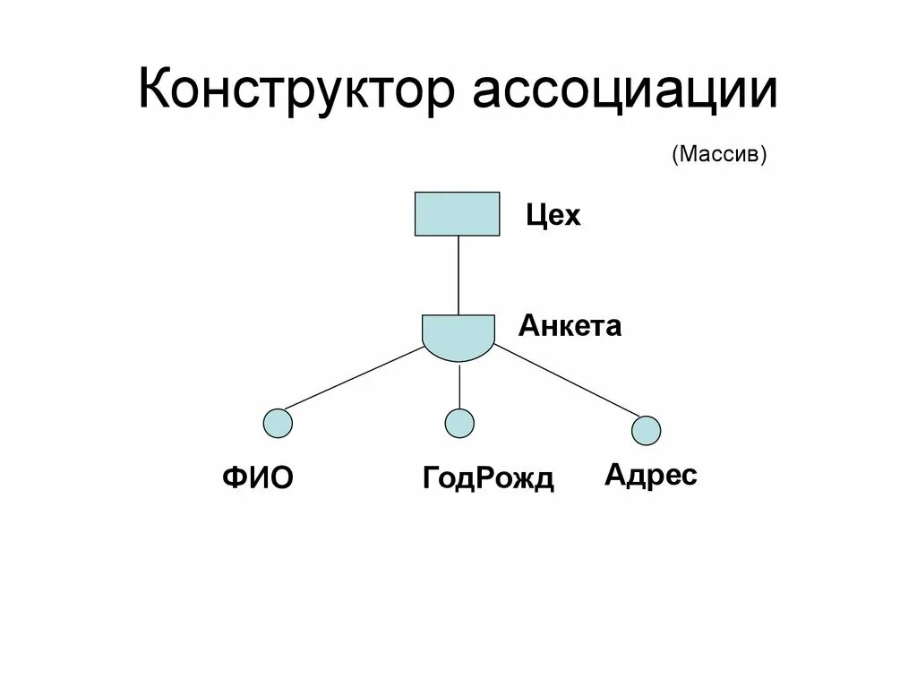 Data constructor