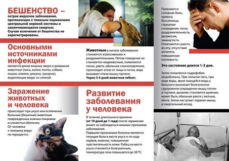 Инфекции людей и животных