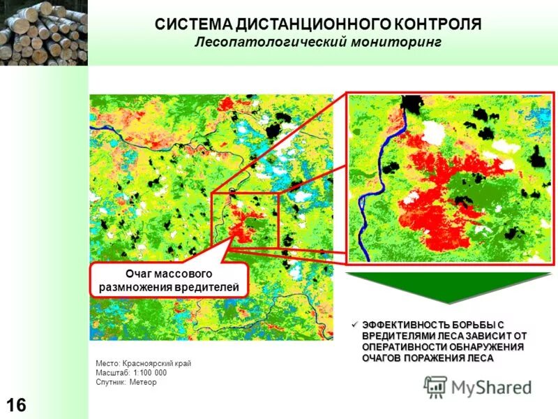 Мониторинг состояние леса. Мониторинг лесных ресурсов. Методы мониторинга лесов. Дистанционный лесопатологический мониторинг. Мониторинг состояние леса.