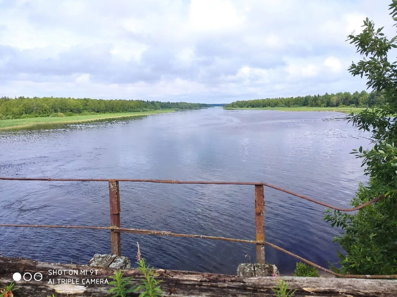 Озеро воже вологодская. Озеро воже рыбалка. Озеро воже рыбалка. Ежезеро гостевая деревня. Озера воже и белое.