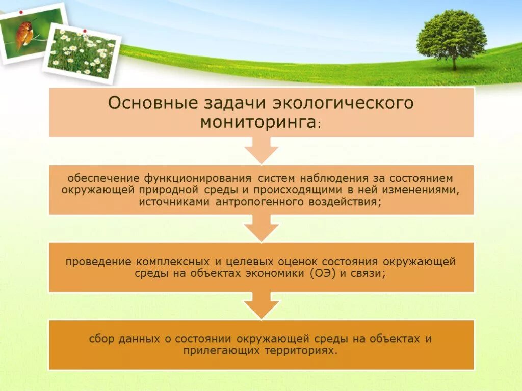 Задачи экологического мониторинга. Основные задачи мониторинга окружающей среды. Цели и задачи экологического мониторинга. Задачи экологического мониторинга окружающей среды. Экологические службы рф