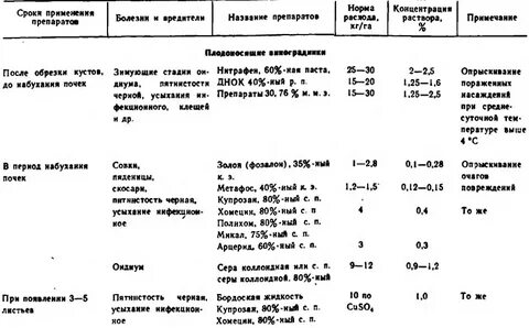 Обработка винограда весной от болезней