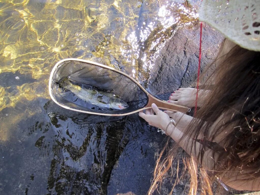 Снится ловить рыбу в чистой воде. Сачок для ловли рыбы. ловля водным сачком. лов рыбы сачком. поймать рыбу сачком.