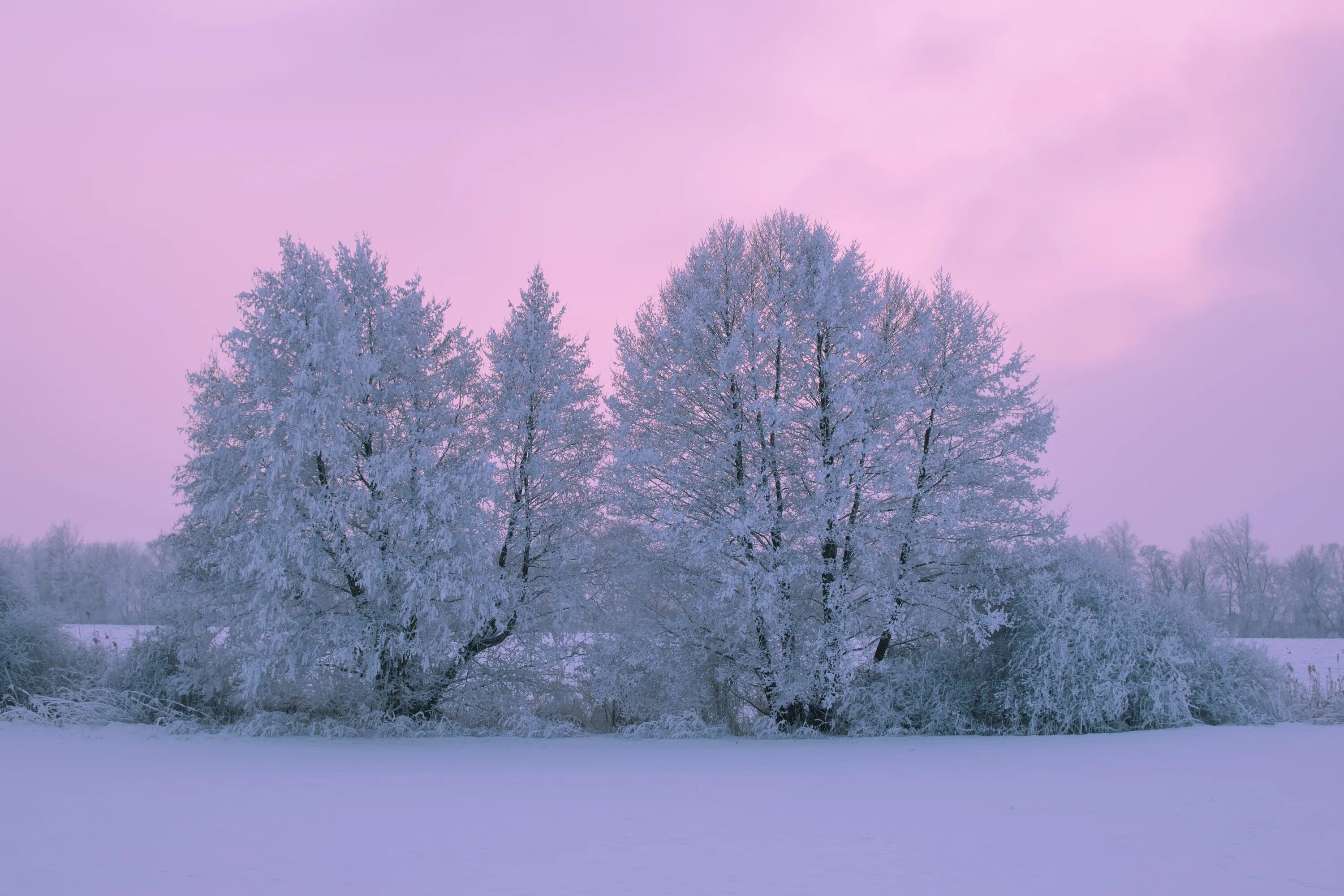 Февраль природа. Зимний пейзаж с месяцем. Зимний пейзаж февраль. Зима декабрь.