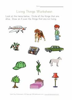 Living worksheets
