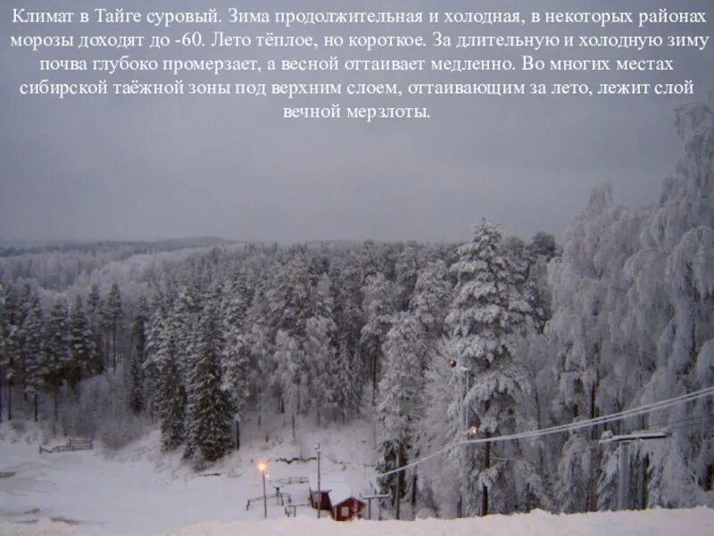 Какой климат в природной зоне тайга. Климат тайги зимой и летом. Климатические условия тайги. Климат тайги зима. Климат тайги в России.