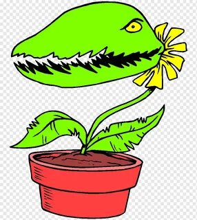 Plant картинки
