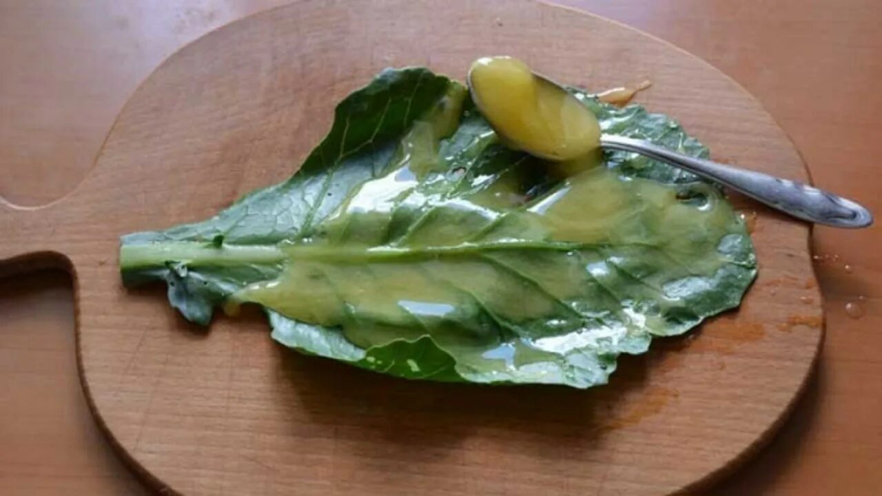 Капустный лист при артрозах. Капустный лист. компресс из капустных листьев. лист капусты от кашля.