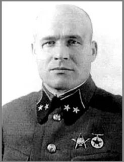Фото анисов