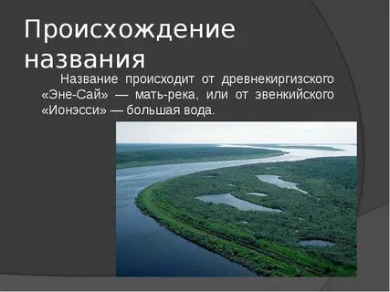 От чего произошло название