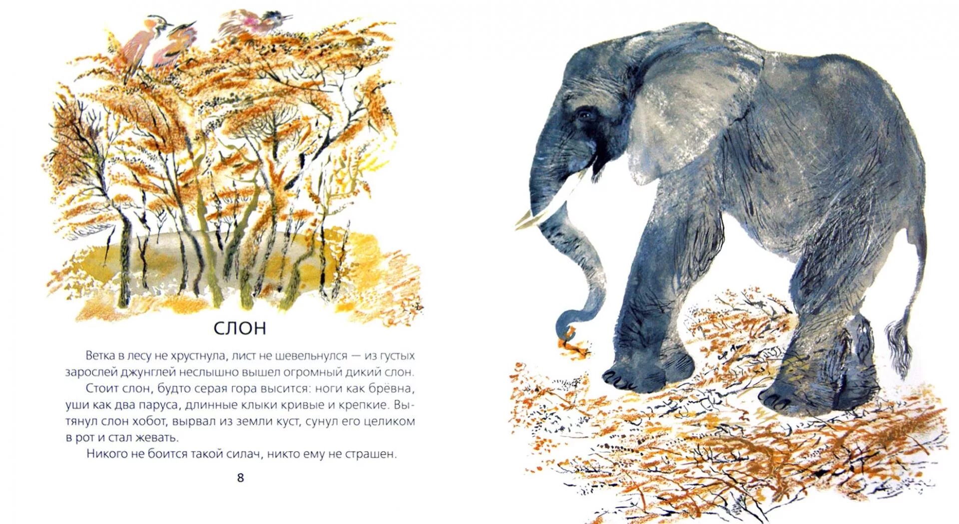 Произведение чарушина о животных. Произведение чарушина о животных. Рассказы чарушина для дошкольников о животных. Чарушин. Произведение чарушина о животных.