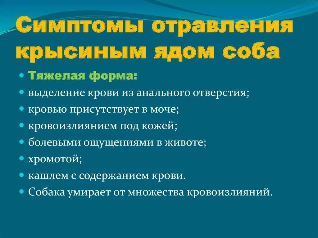 Отравление человека ядом. Симптомы отравления крысиным ядом. симптомы отравления крысиным ядом у человека. отравление мышиным ядом симптомы.