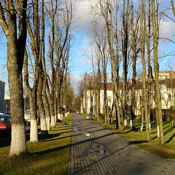 Кингисеппский городской сайт