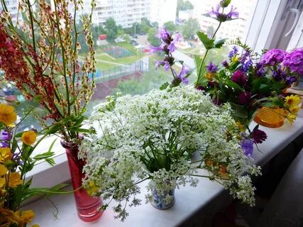 Растит цветы и не считает дни