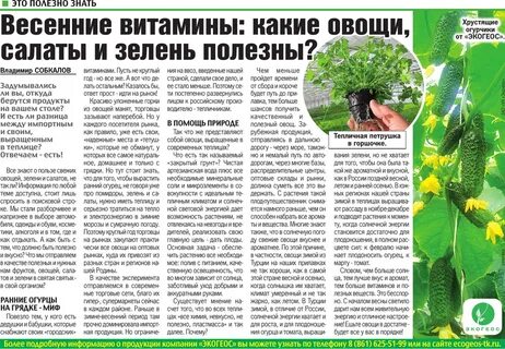 Польза зелени