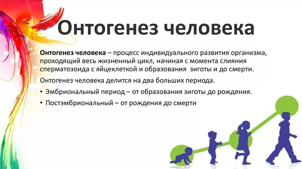 Свойство онтогенеза. Понятие об онтогенезе человека. Онтогенез человека. Особенности онтогенеза человека. Процесс развития в онтогенезе.