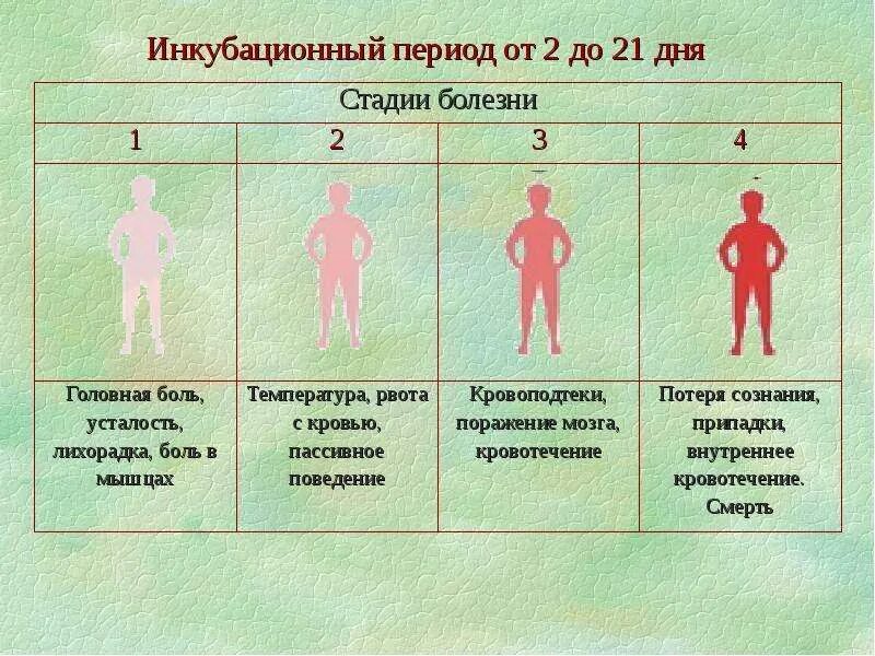 Скарлатина инкубационный период. Скарлатина у детей информация инкубационный период. Скарлатина у детей инкубационный период симптомы.