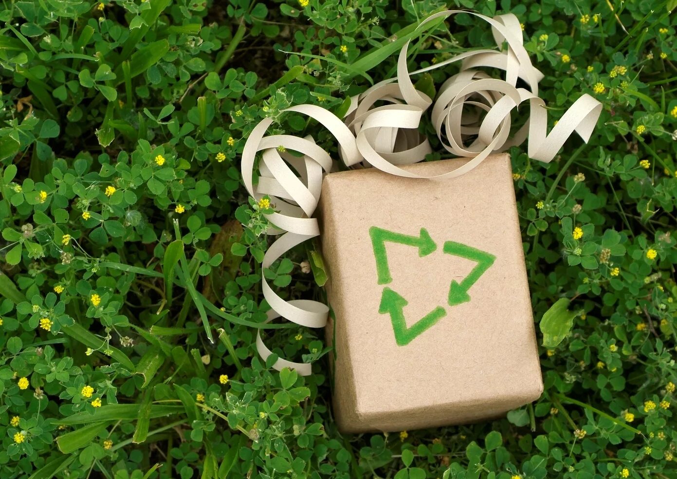 Экологически чистый продукт логотип. Значок экологически чистого продукта. Экологичная одежда. Изготовлен из экологически чистого. Экологически чистая продукция.