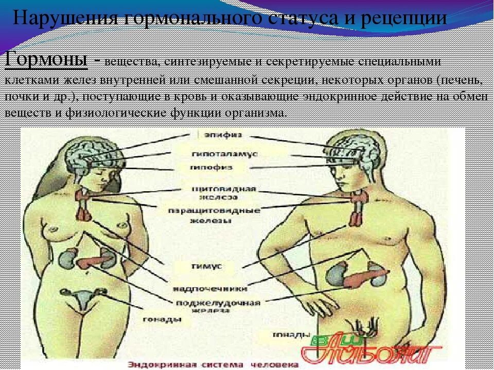 Нарушения гормонального статуса. Нарушения гормональный сбой. Гормональные заболевания. Симптомы нарушения гормонов