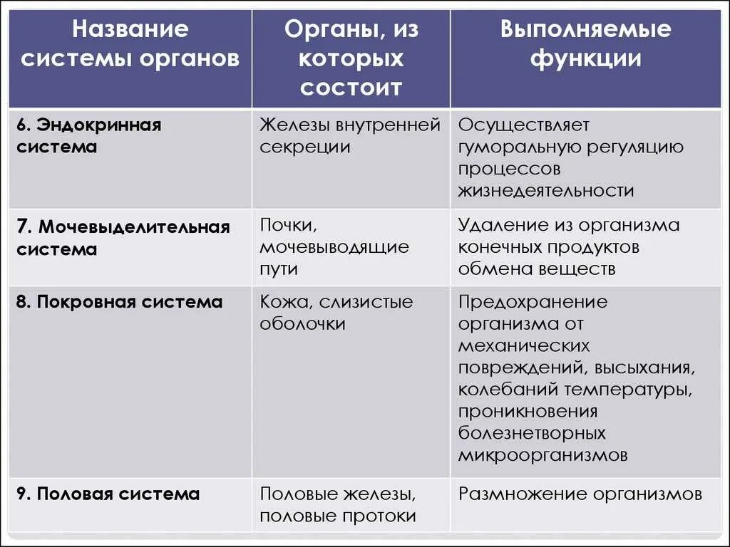 Взаимосвязь систем органов в организме человека. Таблица система органов органы функции. Таблица по биологии система органов органы функции. Таблица название системы органов органы функции. Заполните таблицу системы органов органы функции.