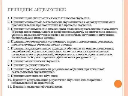 На каких принципах строится обучение