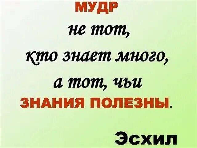 Мудр не тот кто много. Кто мало думает тот мало. Не тот мудр кто всех судит а тот кто всех любит. Мудрые слова про знания. Мудрость знает как поступать.