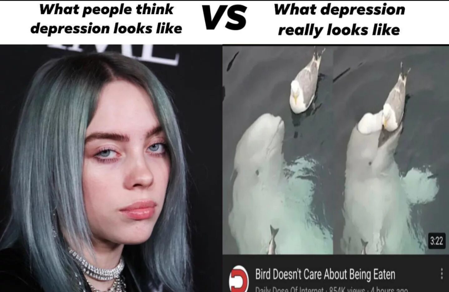 Do you think russia. What really depression look like. This is what depression looks like. What? Depression. Depression looks like.