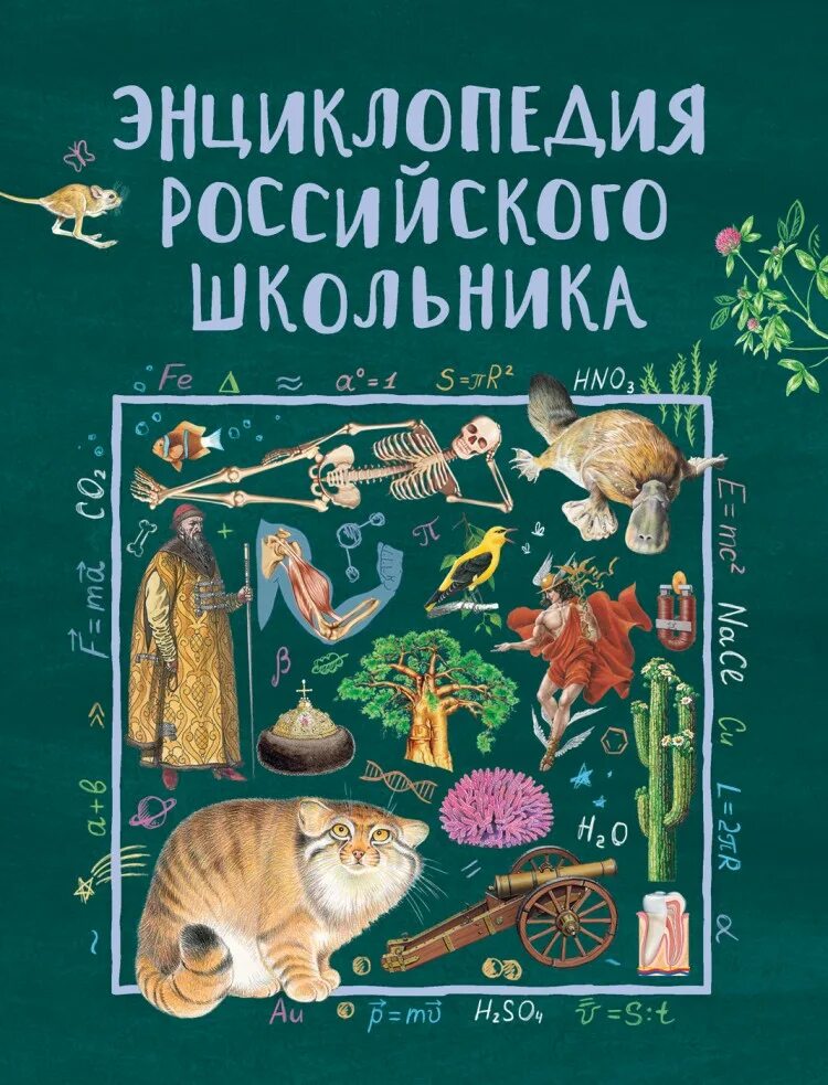 C для школьников книга. Энциклопедия российского школьника. Книги для школьников. Большая детская энциклопедия Росмэн. Книга энциклопедия школьника.