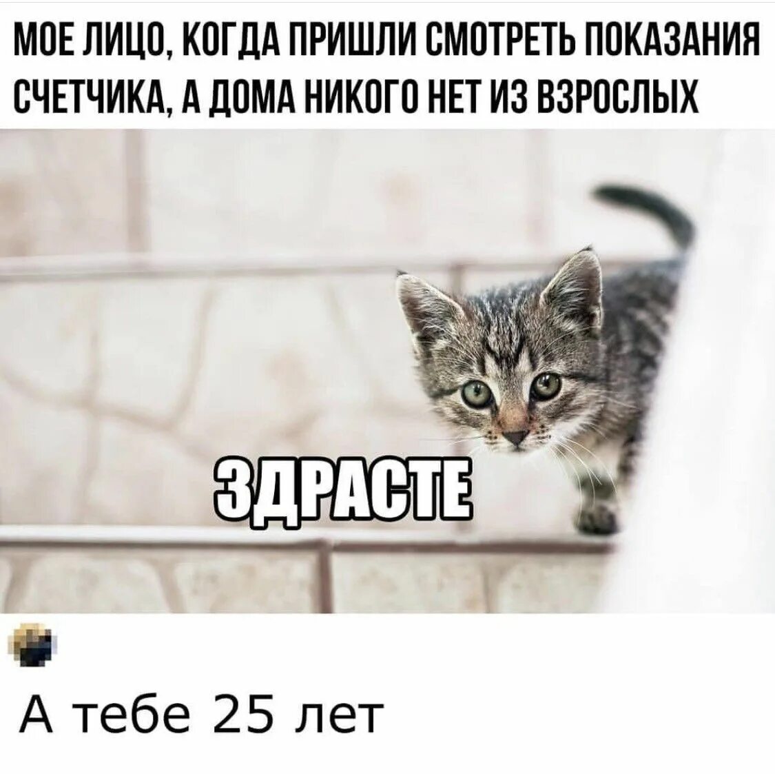 Приходил как проверить и