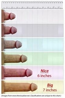 Average penis size video - simovaschoen.com