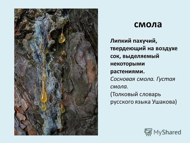Где рецепт густой смолы. Где рецепт густой смолы
