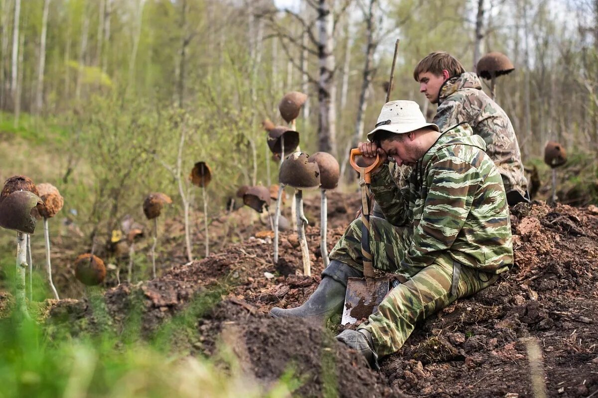 Нашел солдат в заросшем поле. Поисковые отряды России. Поисковое движение России.