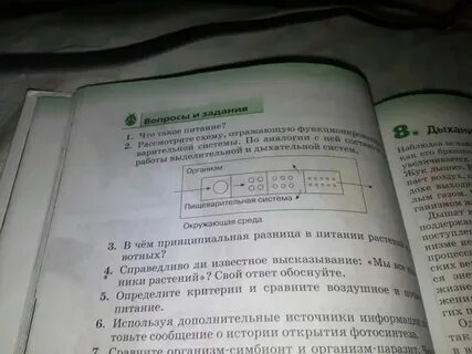 Аудио параграф 6 класс