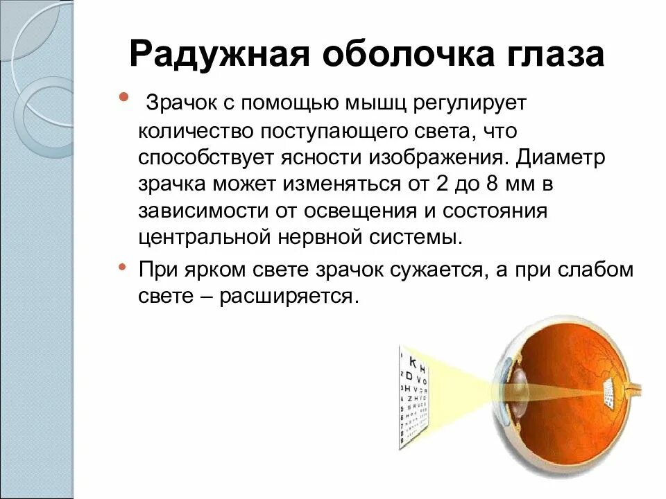 Рефракция глаза. Рефракция это в офтальмологии. Понятие о рефракции и аккомодации. Рефракция и аккомодация офтальмология.