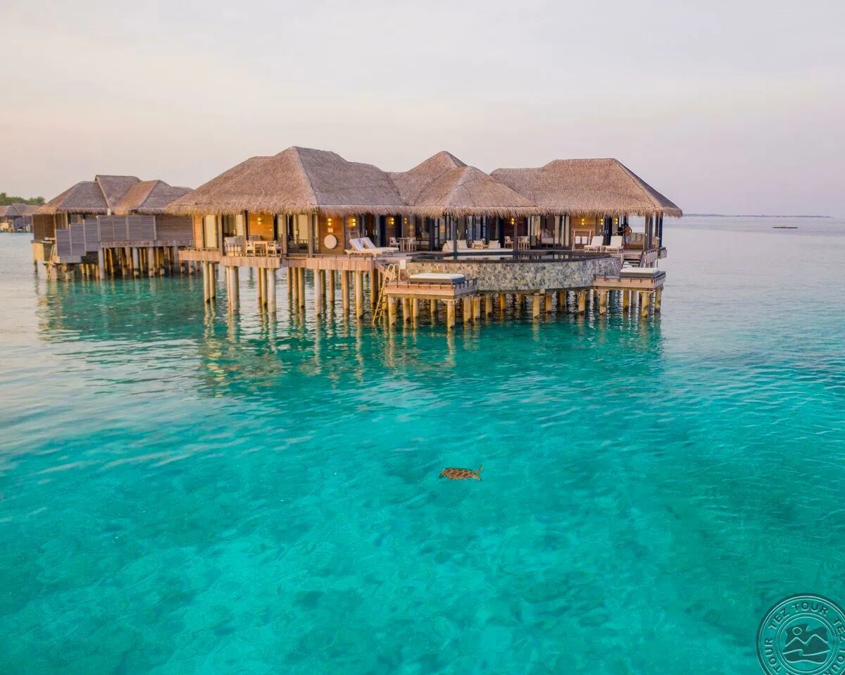 Ja manafaru maldives. Manafaru мальдивы. мальдивы отель ja manafaru. манафару — атолл хаа-алиф, мальдивы. ja manafaru 5* dlx.