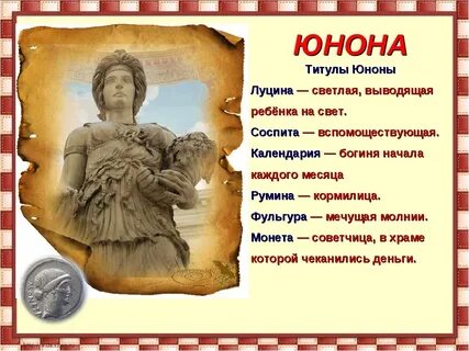 Сонник юноны самый