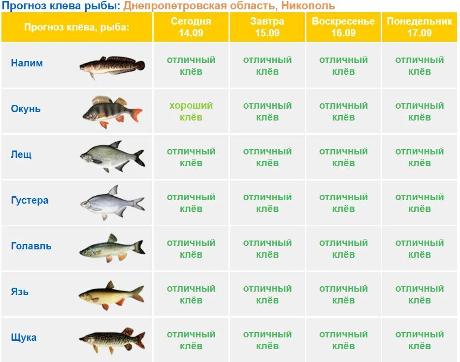 Рыбы на завтра мужчина. Прогноз клева. Прогноз клёва рыбы. Завтра будет рыба клевать. Завтра клевать рыба.