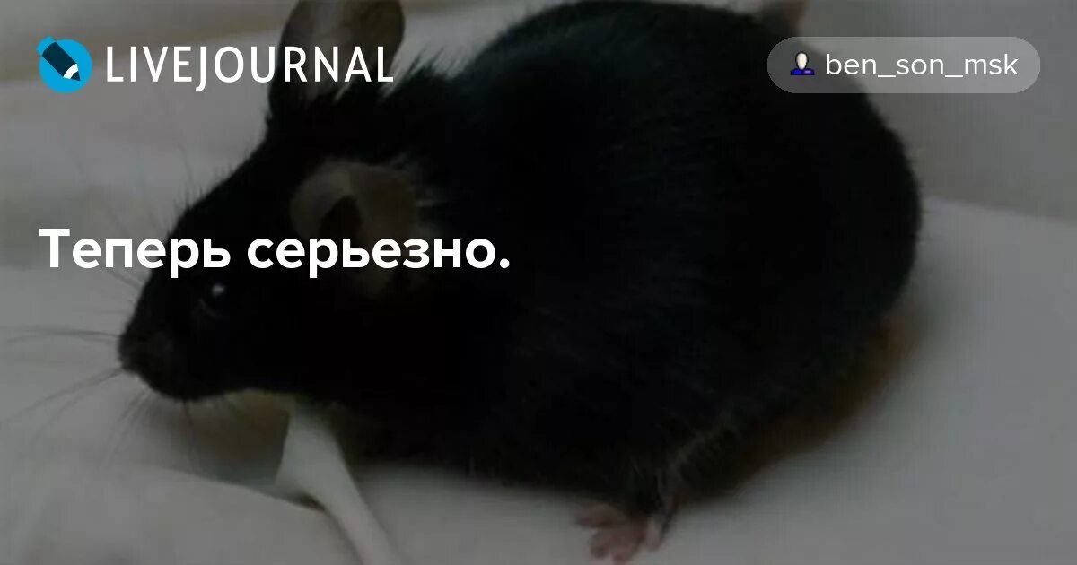 Теперь серьезно. Теперь серьезно. Картинка а если серьезно. А если серьезно надпись. Теперь серьезно.