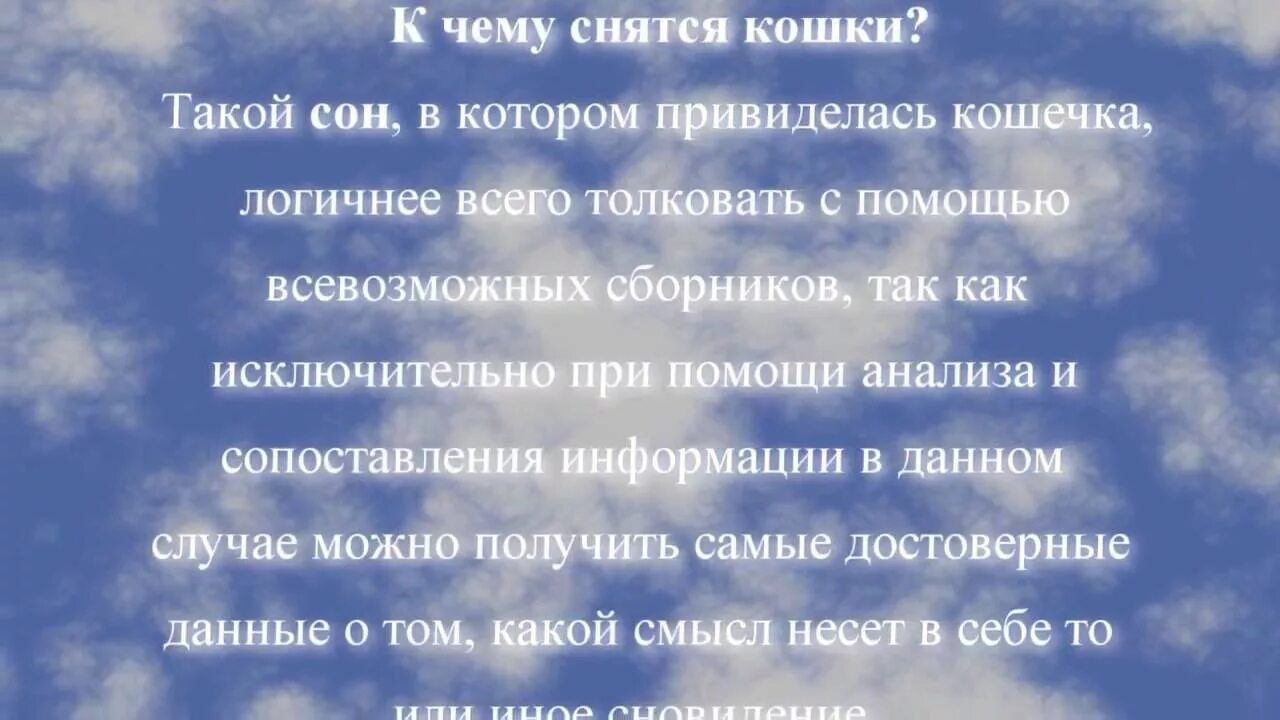 Кошки во сне к чему снится. Кошки во сне к чему снится женщине. Сонник кошка. Видеть во сне кошек что означает. К чему снится кошка женщине замужней ласковая