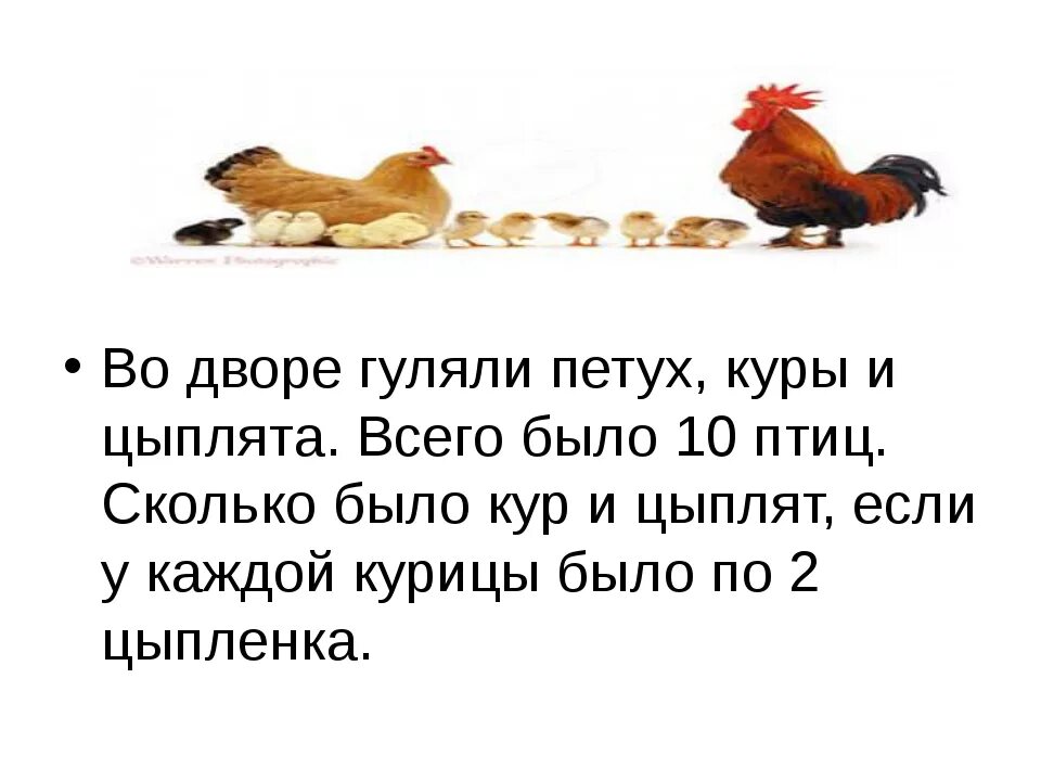 Во дворе гуляют утки. Во дворе гуляют куры и петух. курочки гуляют во дворе. двор курица петух цыпленок. выгуливать цыплят.