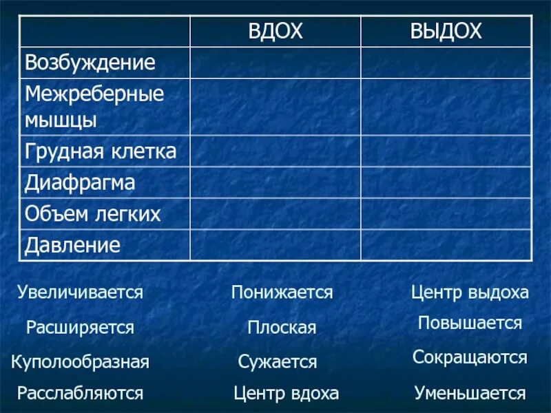 Вдох и выдох таблица. Газообмен в легких таблица. Газообмен в легких и тканях таблица. Газообмен в лёгких и тканях таблица.