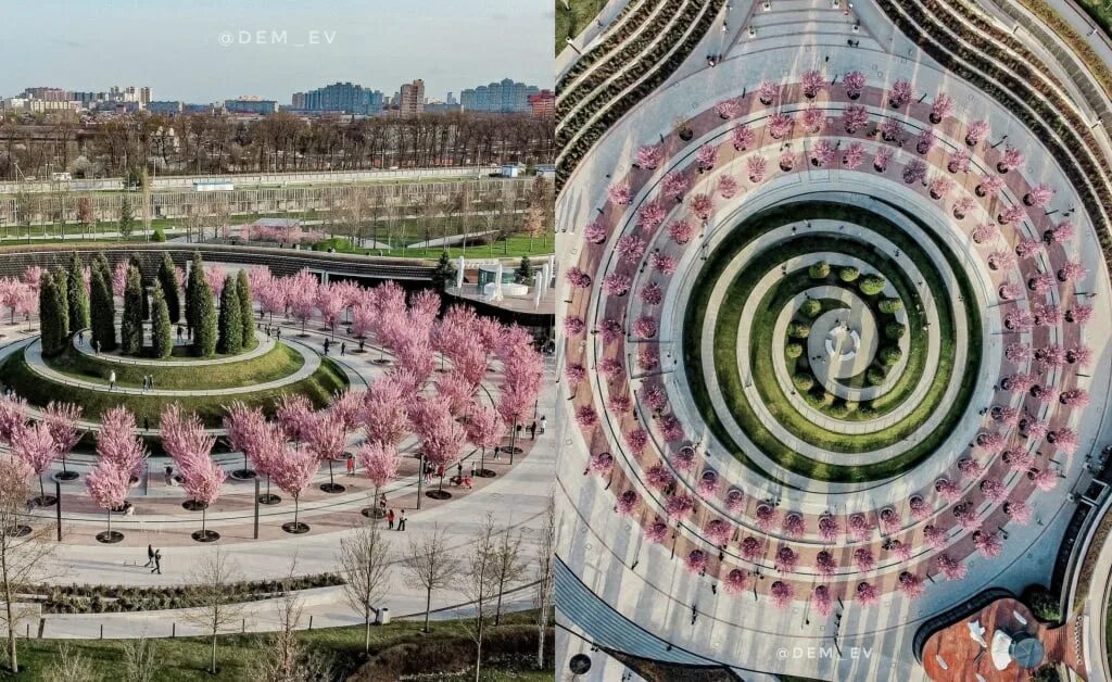 Парк Галицкого в Краснодаре 2023. Парк Галицкого в Краснодаре весной. Парк Галицкого в Краснодаре Сакура. Парк Галицкого в Краснодаре смотровая площадка. Парк галицкого 2024 года