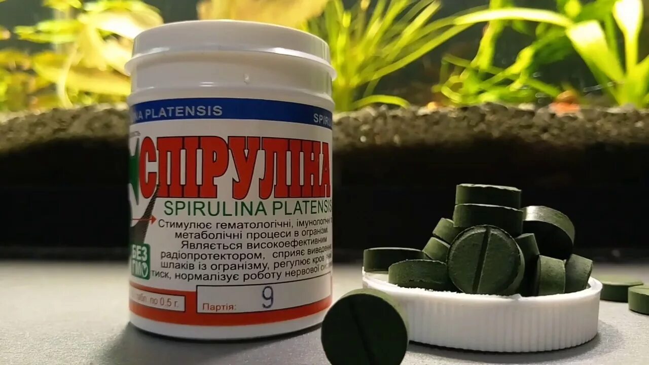 Спирулина платенсис. Spirulina platensis в таблетках. Таблетки для улиток. Лекарство из улиток. Спирулина таблетки аптека