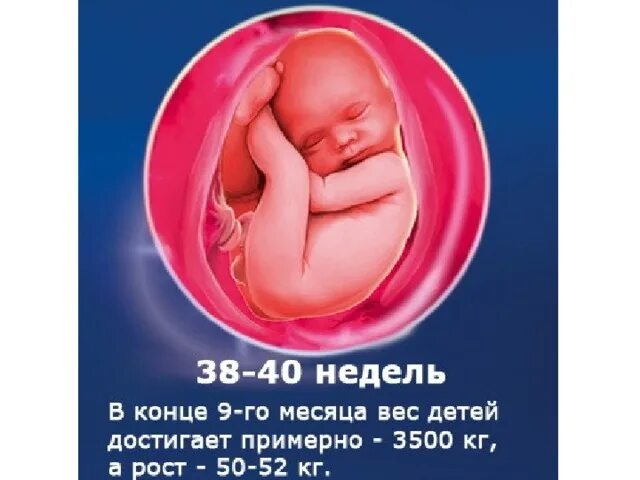 Как выглядит ребенок 40 недель 6 Fetal Positions That Indicate Your Labor Is Approaching Fetal position, Pregna