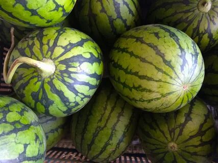 Огурцы дыни арбузы тыквы