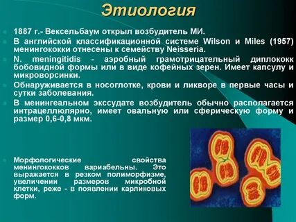 Возбудитель не относится к