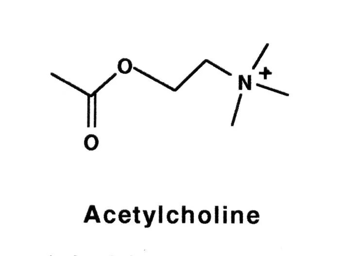Ацетилхолин. Ацетилхолин структурная формула. Ацетилхолин тату. Ацетилхолина хлорид препарат.