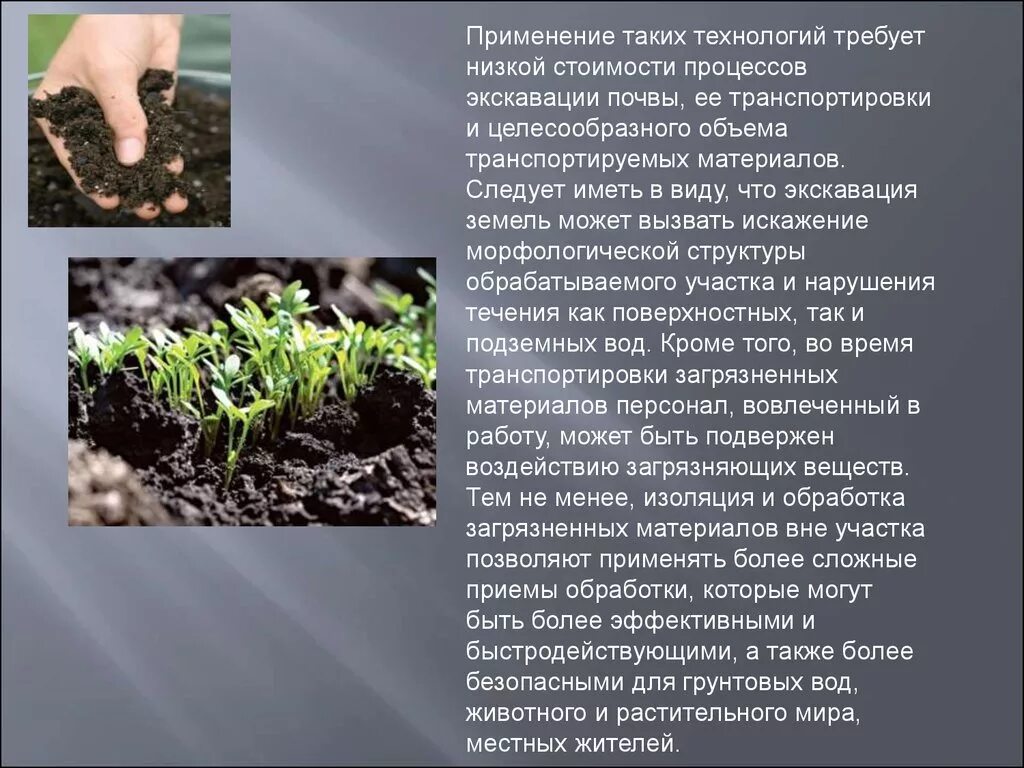 Сохранение и восстановления почв. Растительный мир методы восстановления. биоремедиация нефтезагрязненных почв. способы восстановления почвы. растительный мир методы восстановления природного ресурса.
