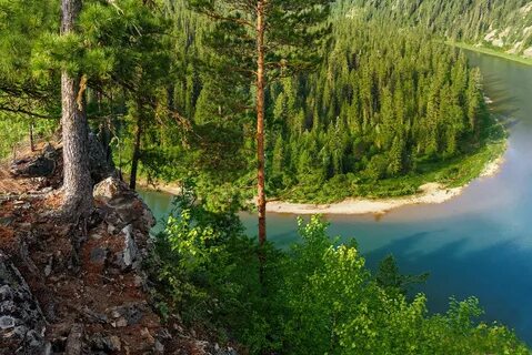 Уральский лес